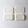 Sugarcane Food Container Umweltfreundliche Bagasse Clamshell